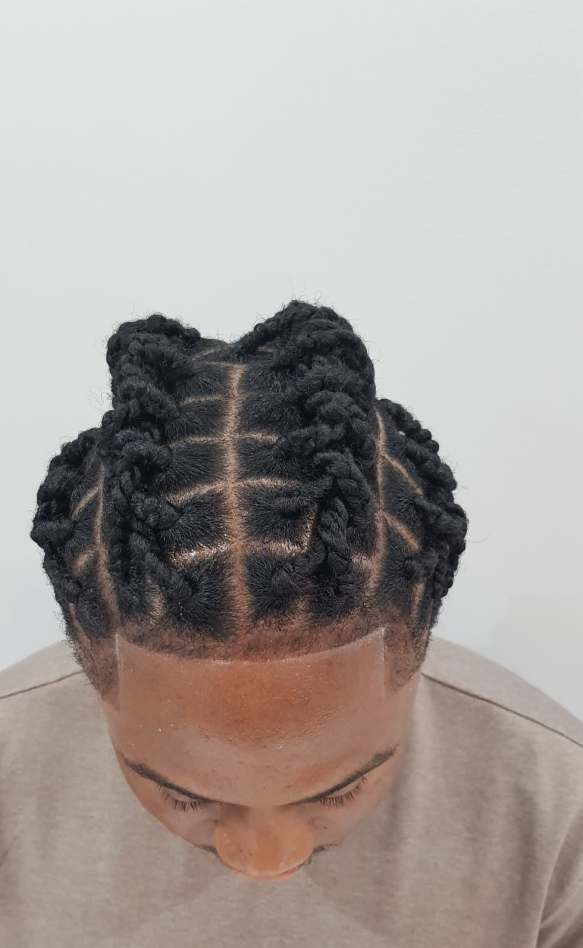 Braids Weaves